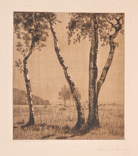 Herbert martini - e., /